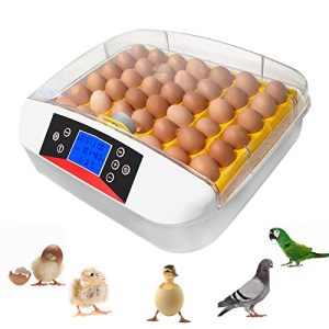 42 Eggs Incubators for Hatching Eggs with LED Light