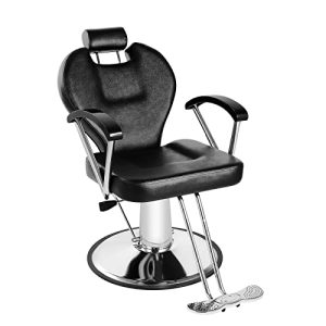 Dangvivi Hydraulic Recliner Barber Chair