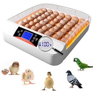 55 Egg Incubators for Hatching Eggs with LED Light