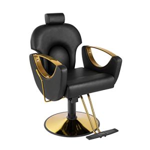 Dangvivi Barber Chair Salon Chair for Hair Stylist