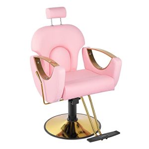 Dangvivi Pink Barber Chair Reclining Salon Chair for Hair Stylist, Height Adjustable Hair Salon Chair with 360 Degrees Rolling Swivel, Multi-Function Shampoo Tattoo Chair (Pink)